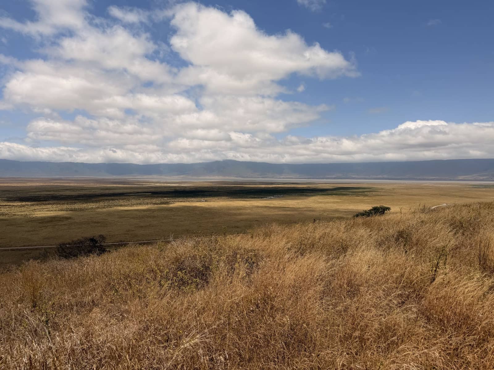 Ngorongoro Crater panorama